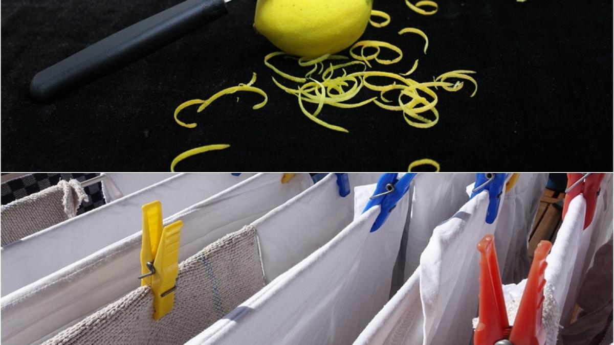 coaja-lamaie-rufe_51967100