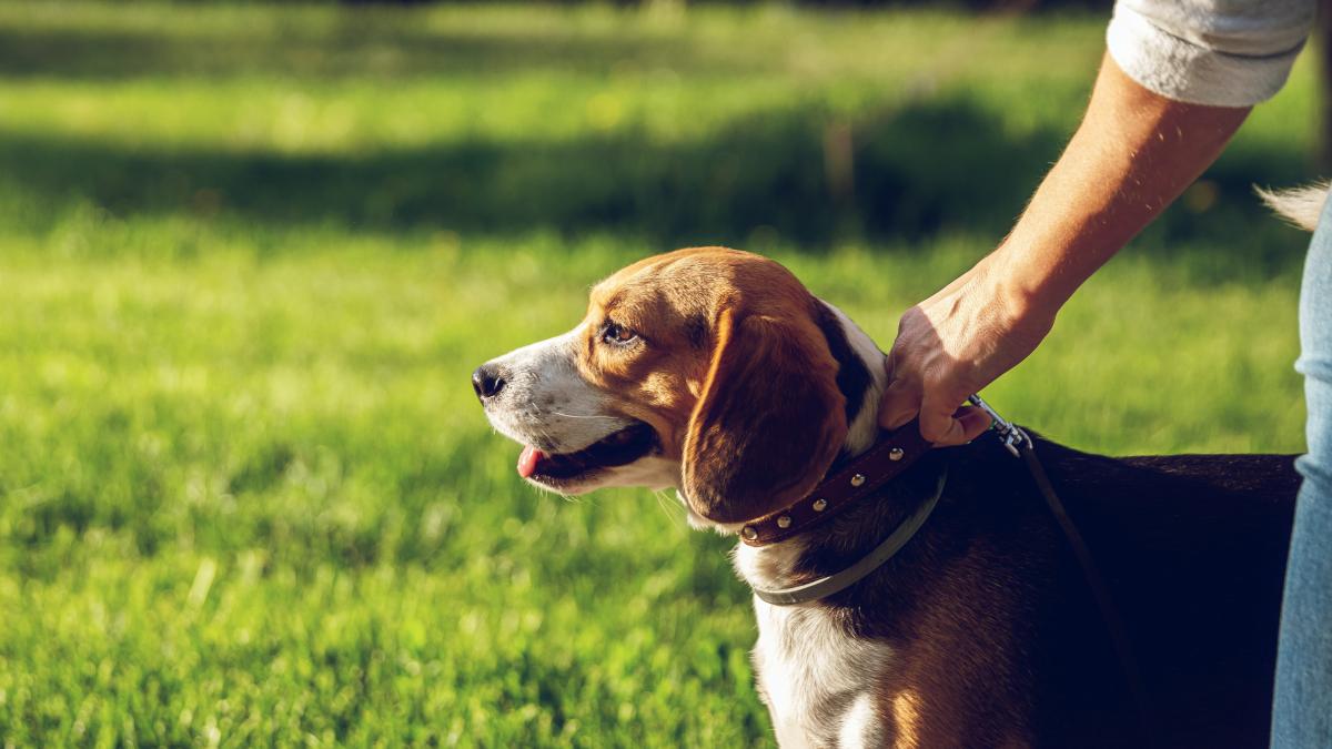 pexels-artem-beliaikin-2662135_36725600