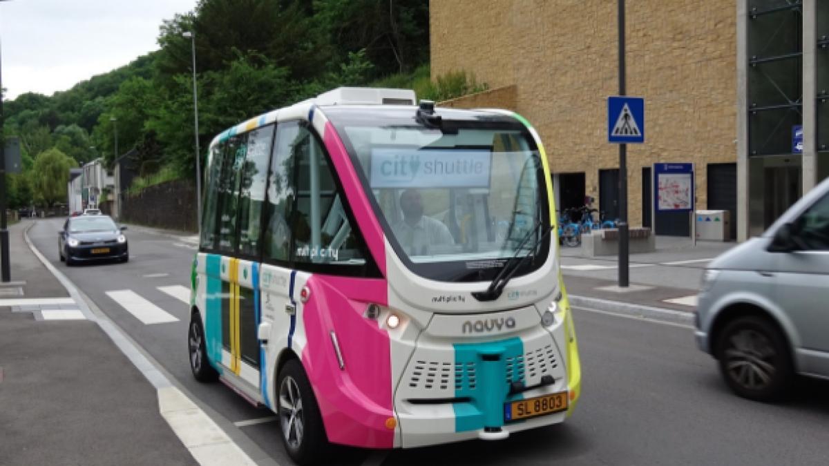 autobuz-fara-sofer_46482300