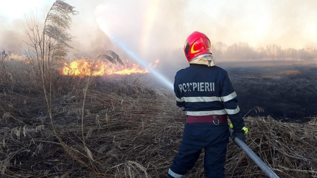 pompier_incendiu_vegetatie_fb_isubif_69045000