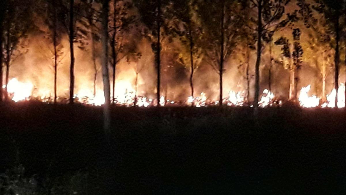 incendiu-padure_98324200