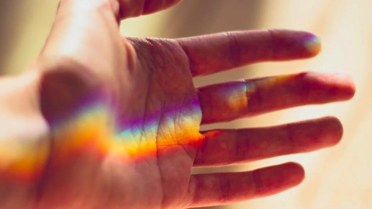 plata_cu_palma_amazon_97315600