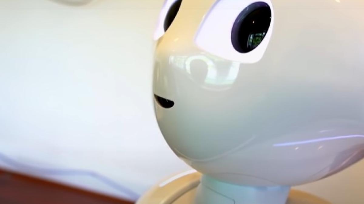 robot_badanta_24959000