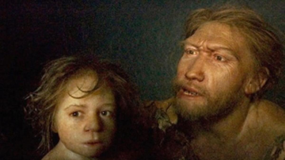 neanderthal_71577700