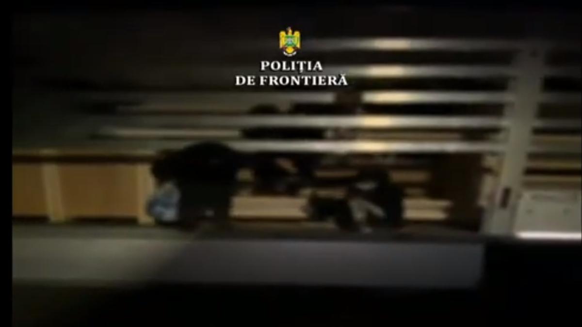 migranti-nadlac-ii_66355900