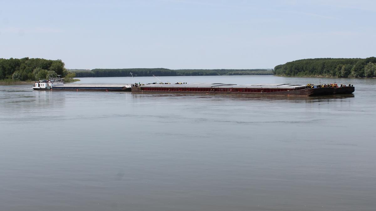 dunare--barje_74167700