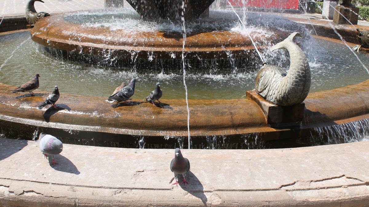 meteo-canicula2_55805700