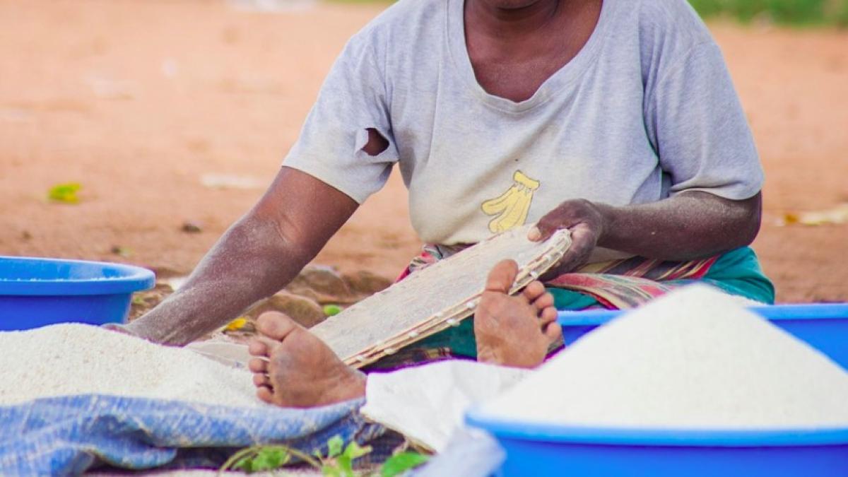 foamete_proportii_biblice_16584200