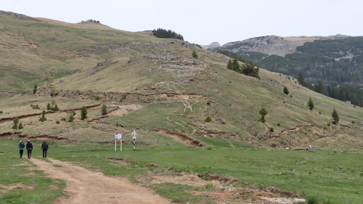 picioarul-babelor_13866800