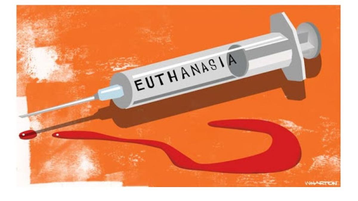 eutanasiere_53799200