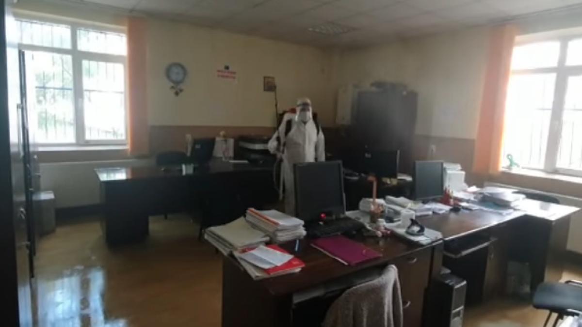 dezinsectie_03388500