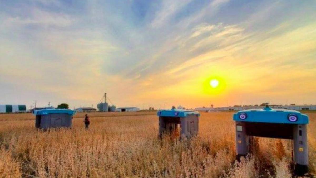 project_mineral_x_alphabet_81463400