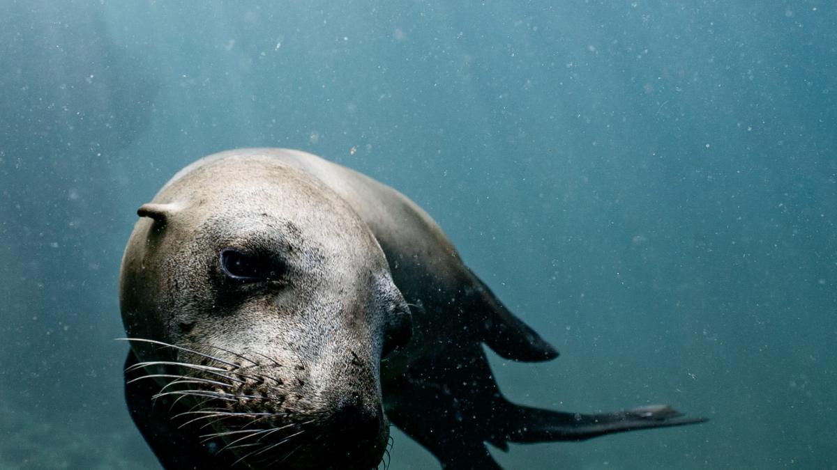 pexels-elianne-dipp-4751278_56461900