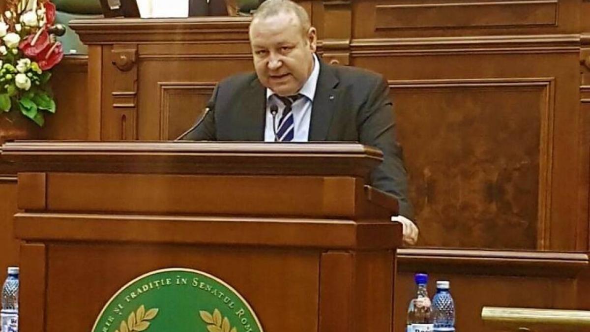 daniel-fenechiu_80734300