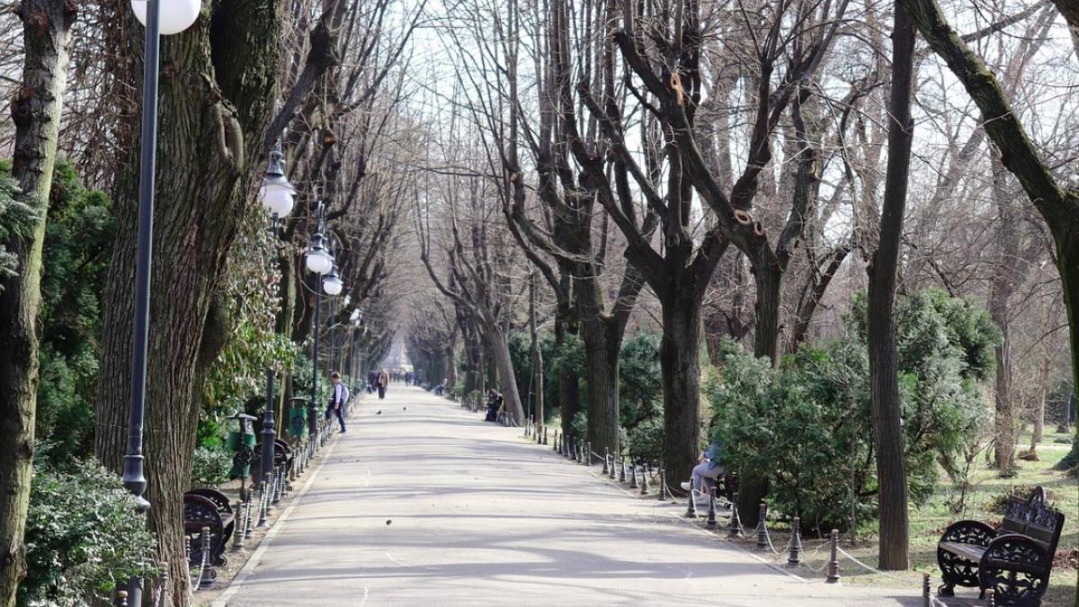 octombrie_ilustrativ_cismigiu_frig_17301500