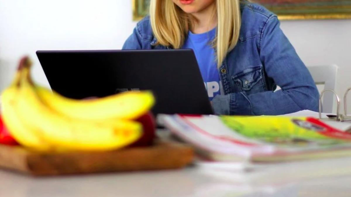 scoala_online_ilustrativ_26782400