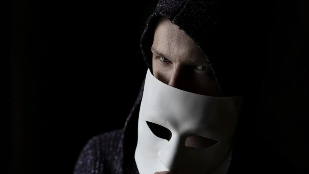 hacker_robin_hood_bun_donatii_28939600