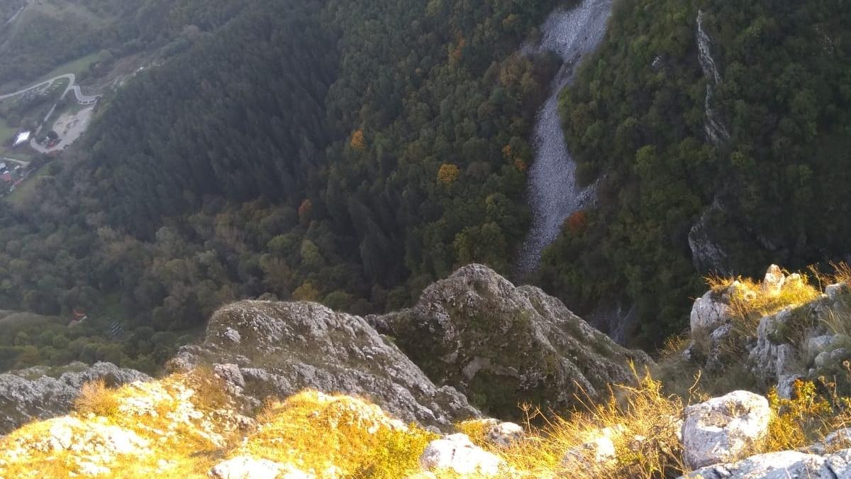 16958626-11ad-4a96-8525-bd2adab477b6_14026200