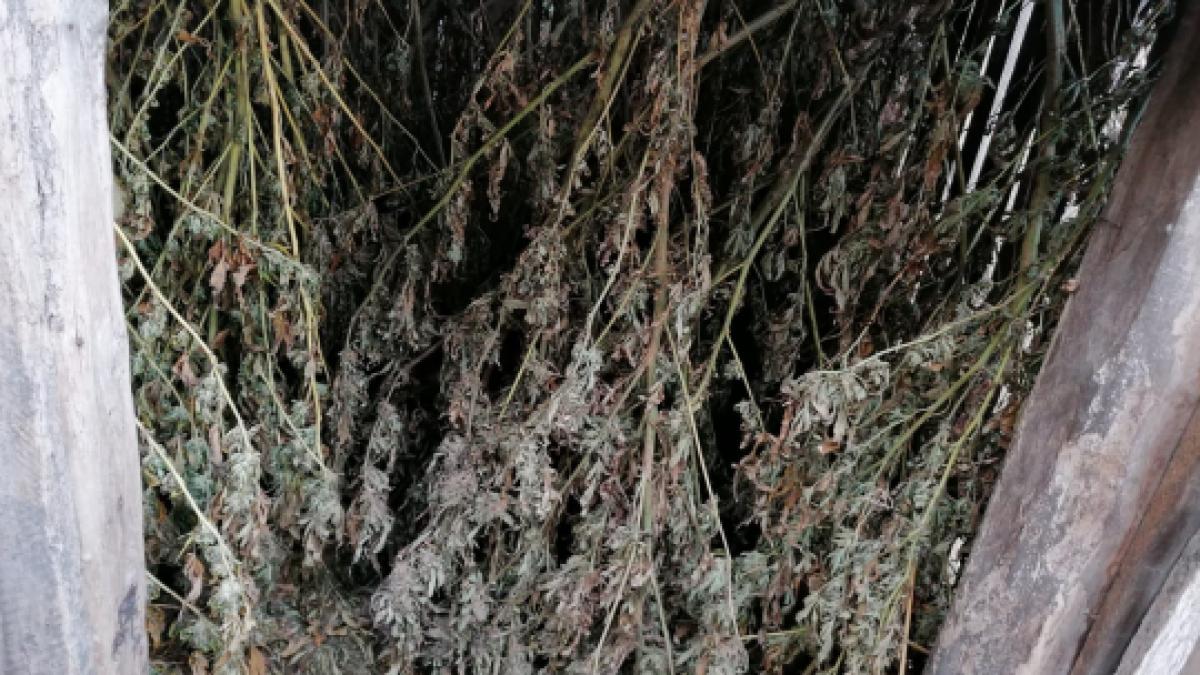 big_whatsapp_image_2020-10-23_at_104559_1_31843700