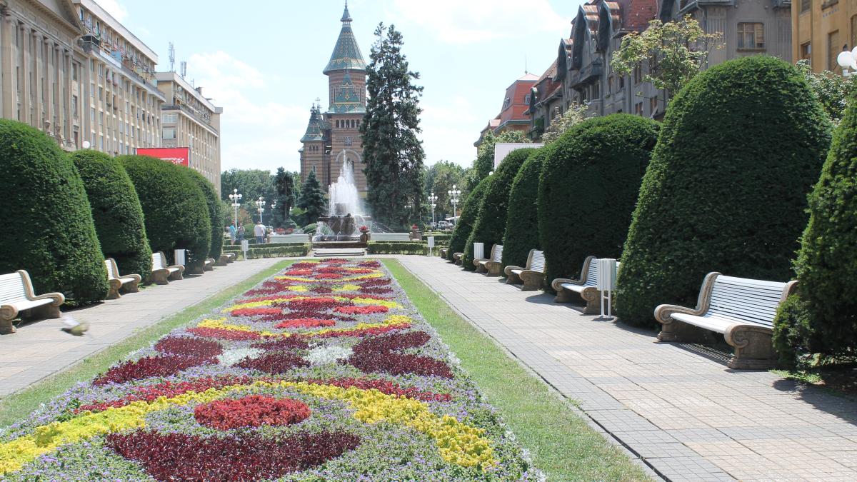 timosoara-catedrala_08894800