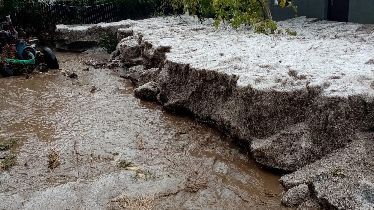 ffde3746-41ce-4261-973c-57fd03fcd2b1_59066600