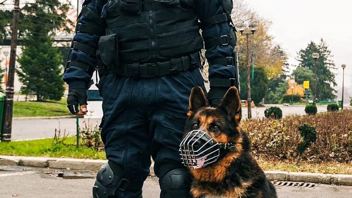 olesa-caine-jandarmerie_37927700