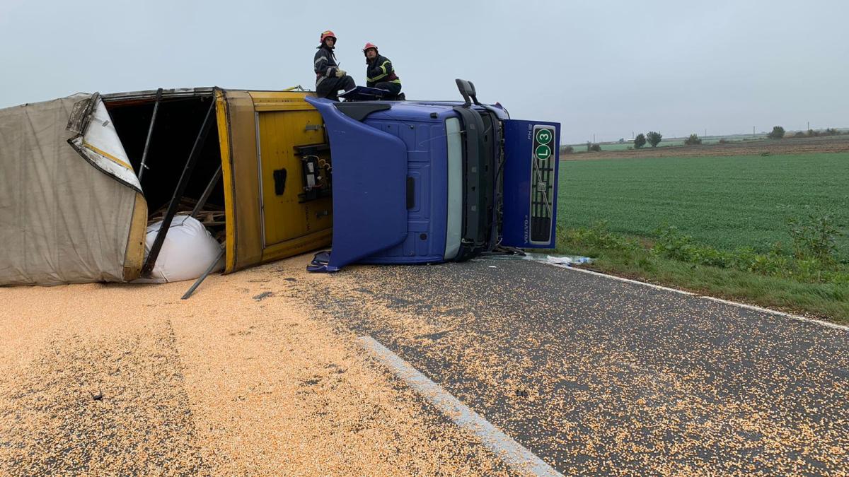 aa257122-2986-48ff-8d1e-0fa2bff2a282_79870300