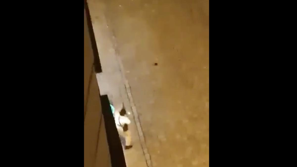 atac-terorist-viena-atacator_58559900