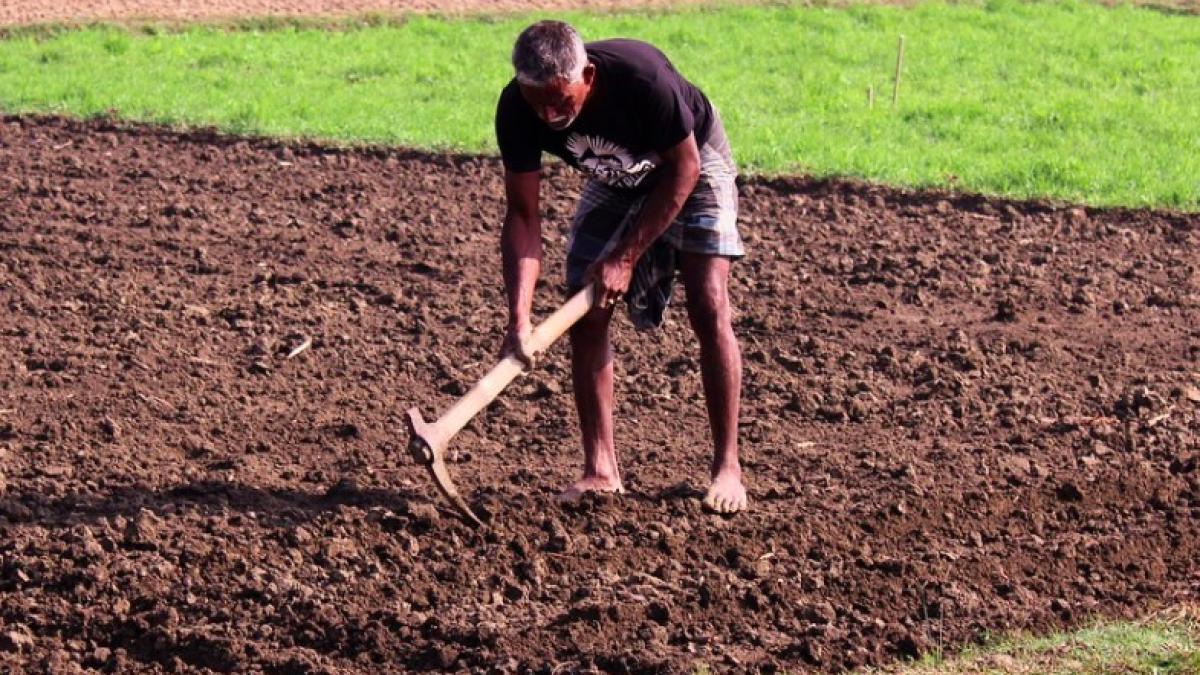 muncitor_sezonier_italia_ilustrativ_pxb_34333000