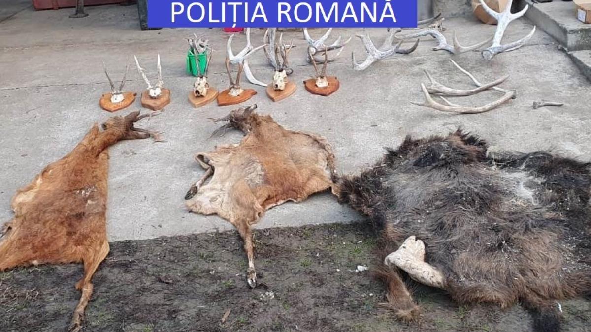 75cc6b13-582a-4b51-8e9e-f12cbec1f549_53224000