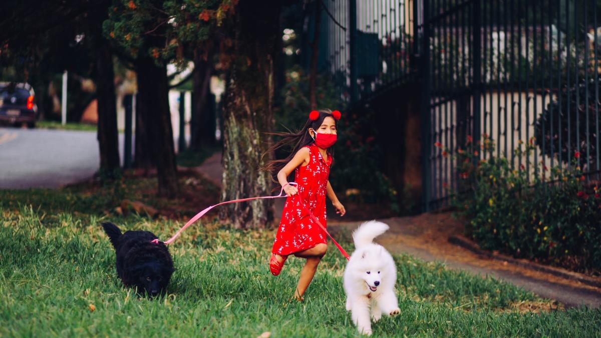 pexels-helena-lopes-4453109_50569000