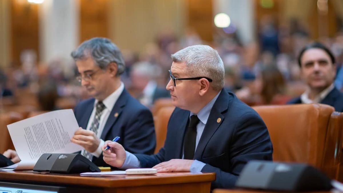 florin-roman_01534100