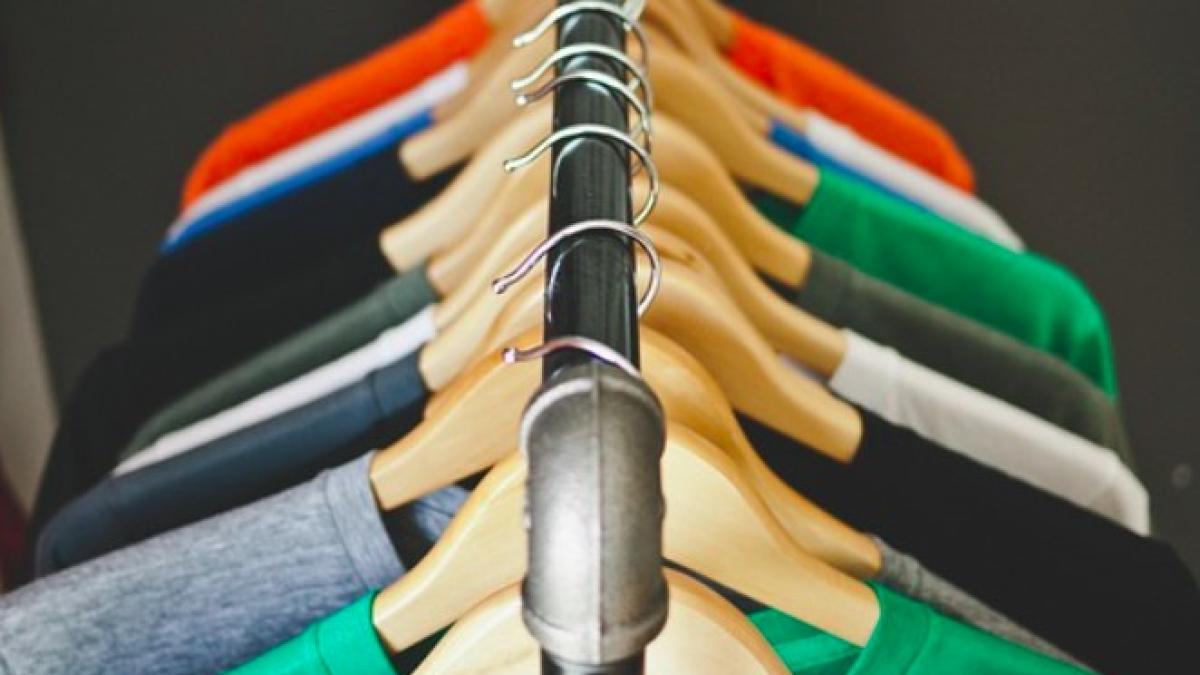 haine_marimi_international_pixabay_41426500