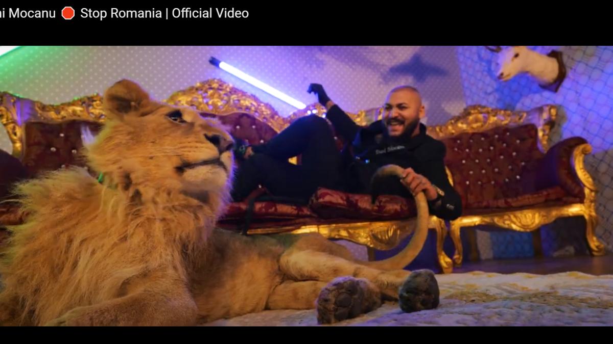 dani-mocanu-leu_30874400