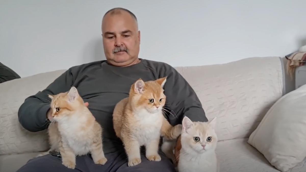 captura-de-ecran-din-2020-11-22-la-19-29-28_65033200