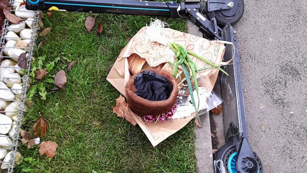 accident-trotineta_16174300