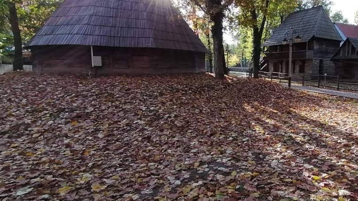 126368998_4679892495386653_2834587151162049140_n_83690100