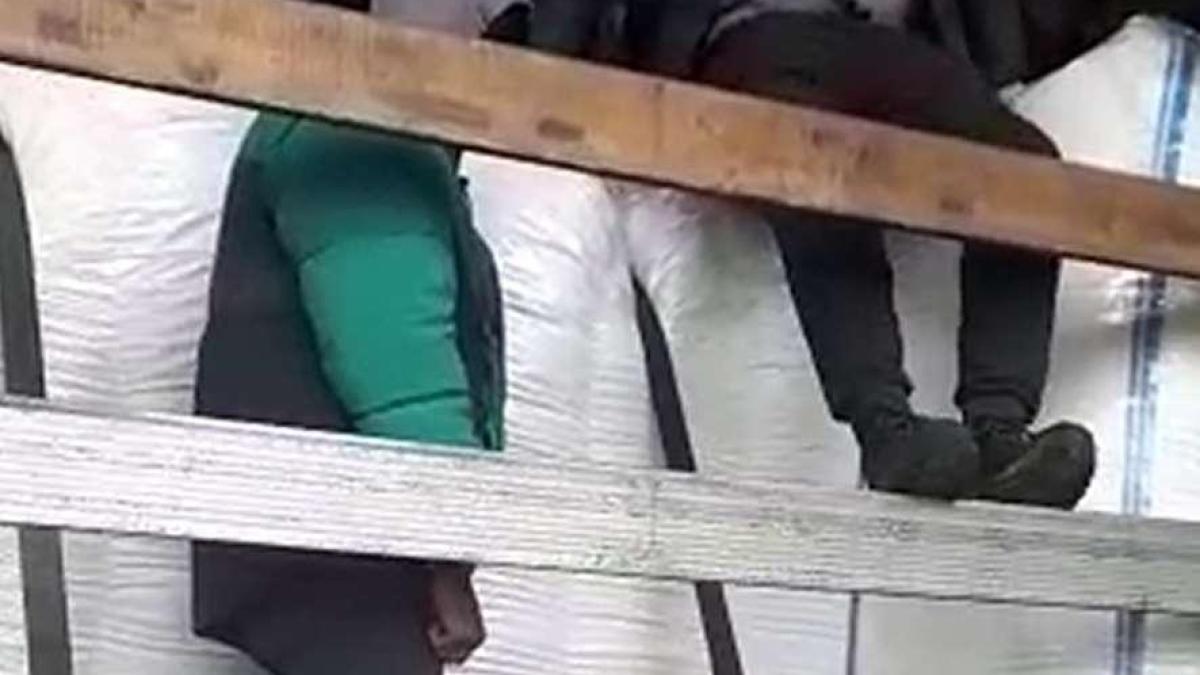 1606203710395-9919-s4_45045700