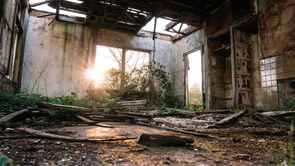 pexels-matthias-groeneveld-4200749_62352300