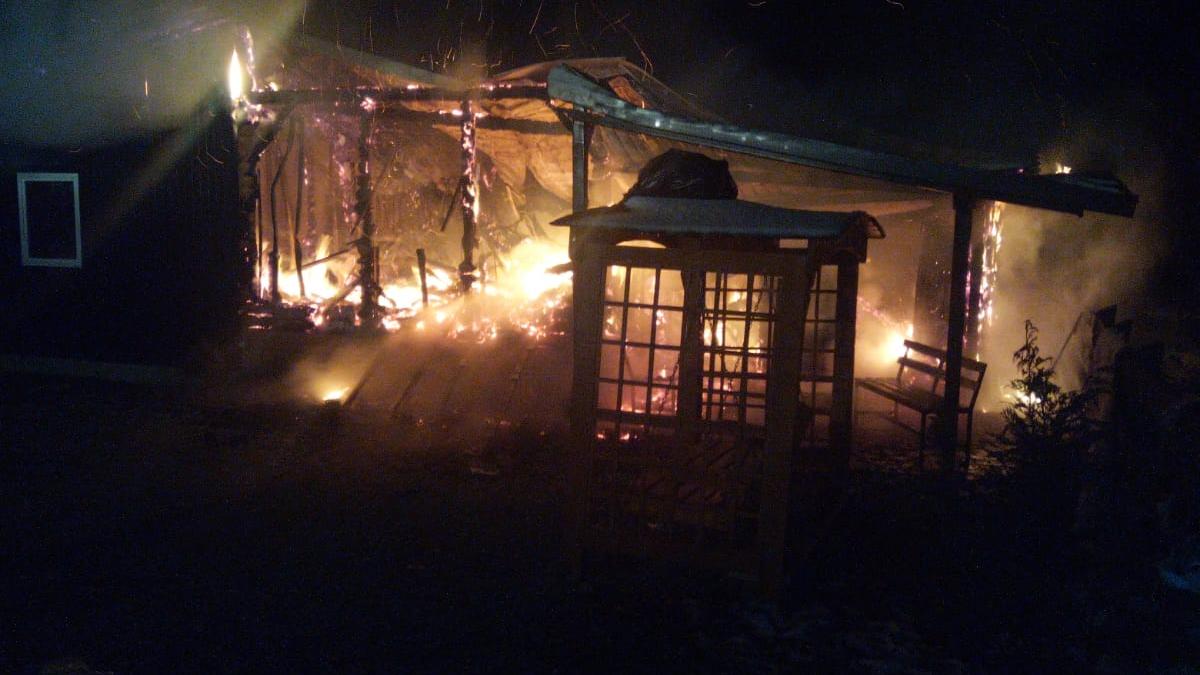 1b81b7d8-3780-450a-bb01-90f7c2fb1980_48208200