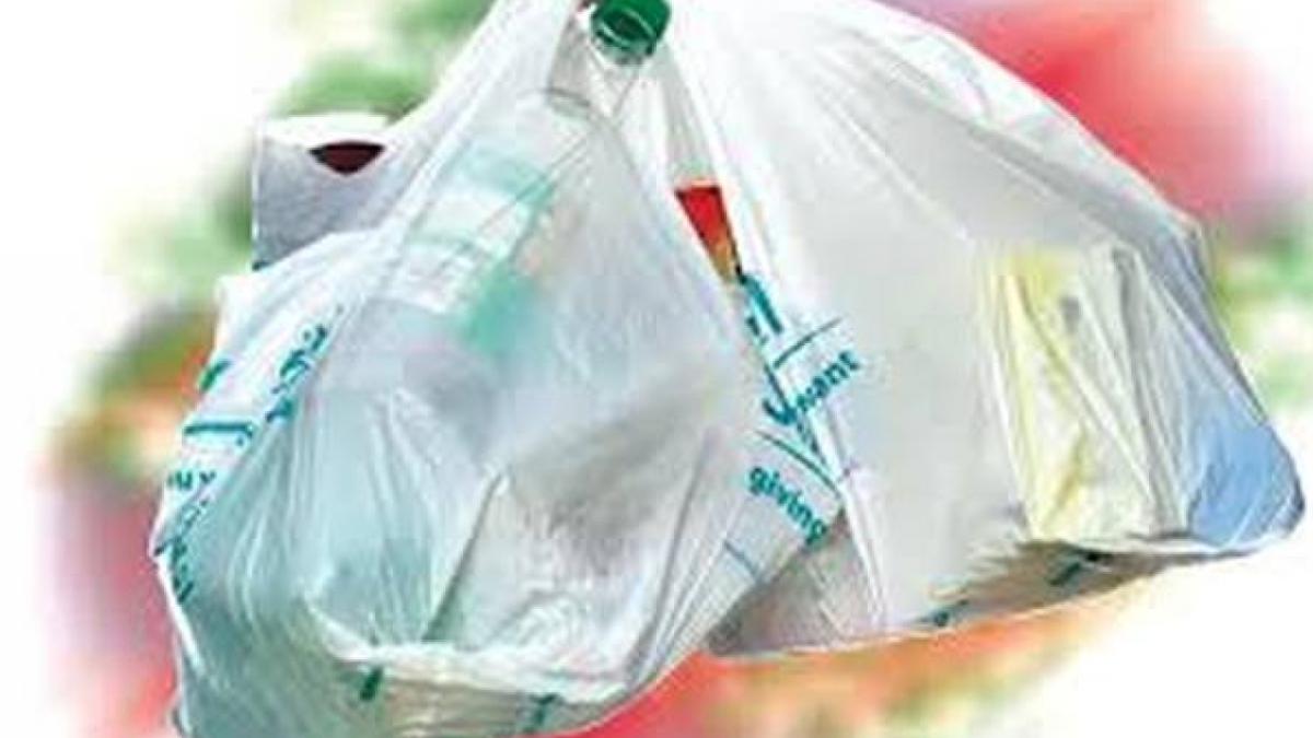 pungi-plastic_74196200