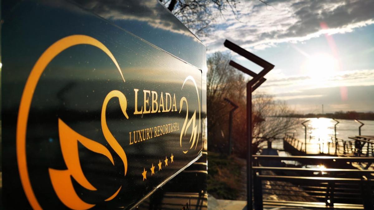 1af3bd29-53ee-4604-a991-b89999c73d9d_73974500