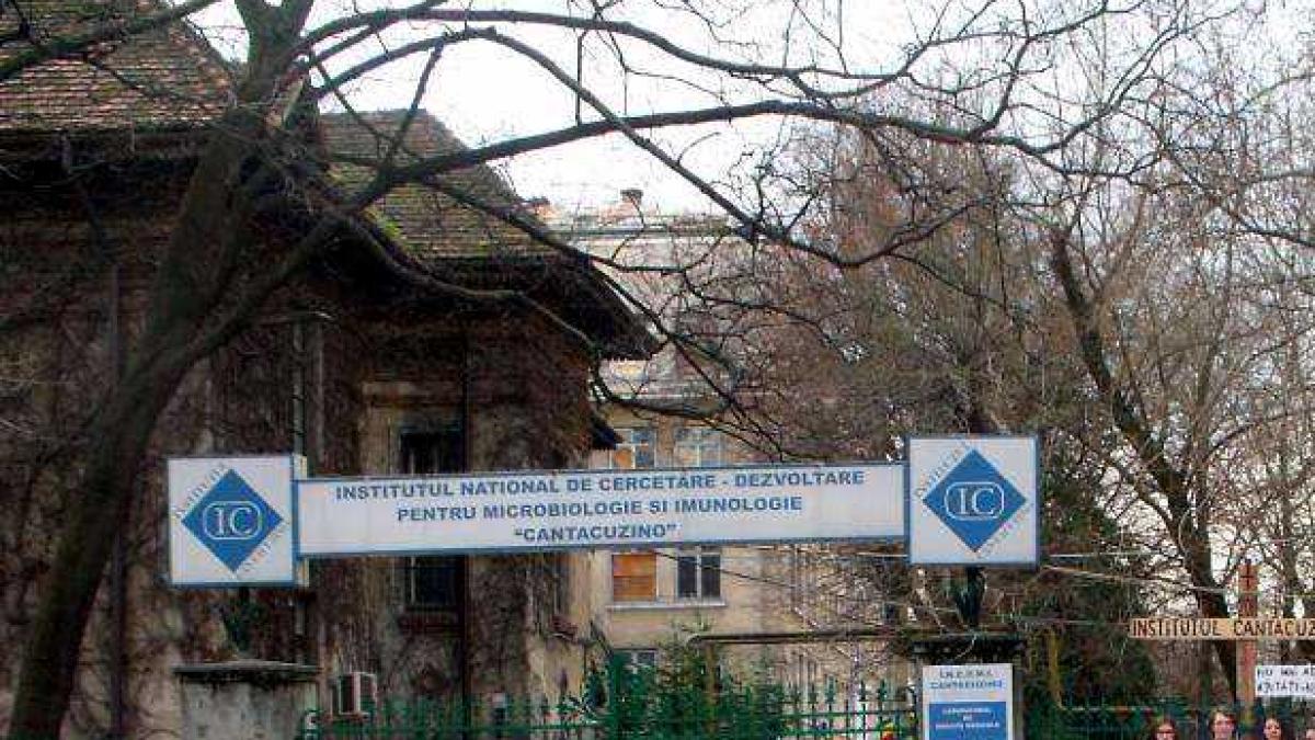 cantacuzino_facebook_20896600