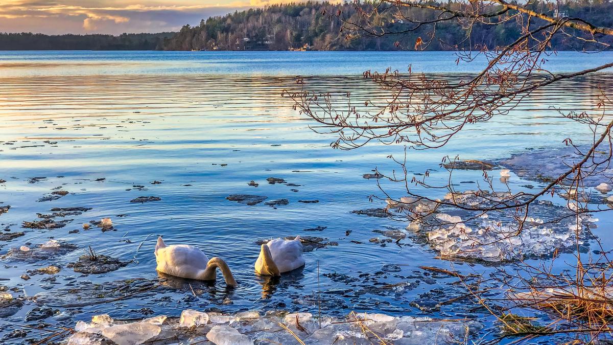 pexels-nextvoyage-3779783_32649600