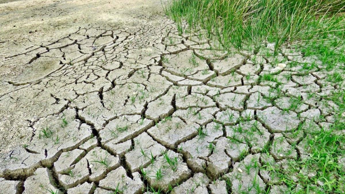 schimbare_climatica_incalzirea_globala_pxb_65114200