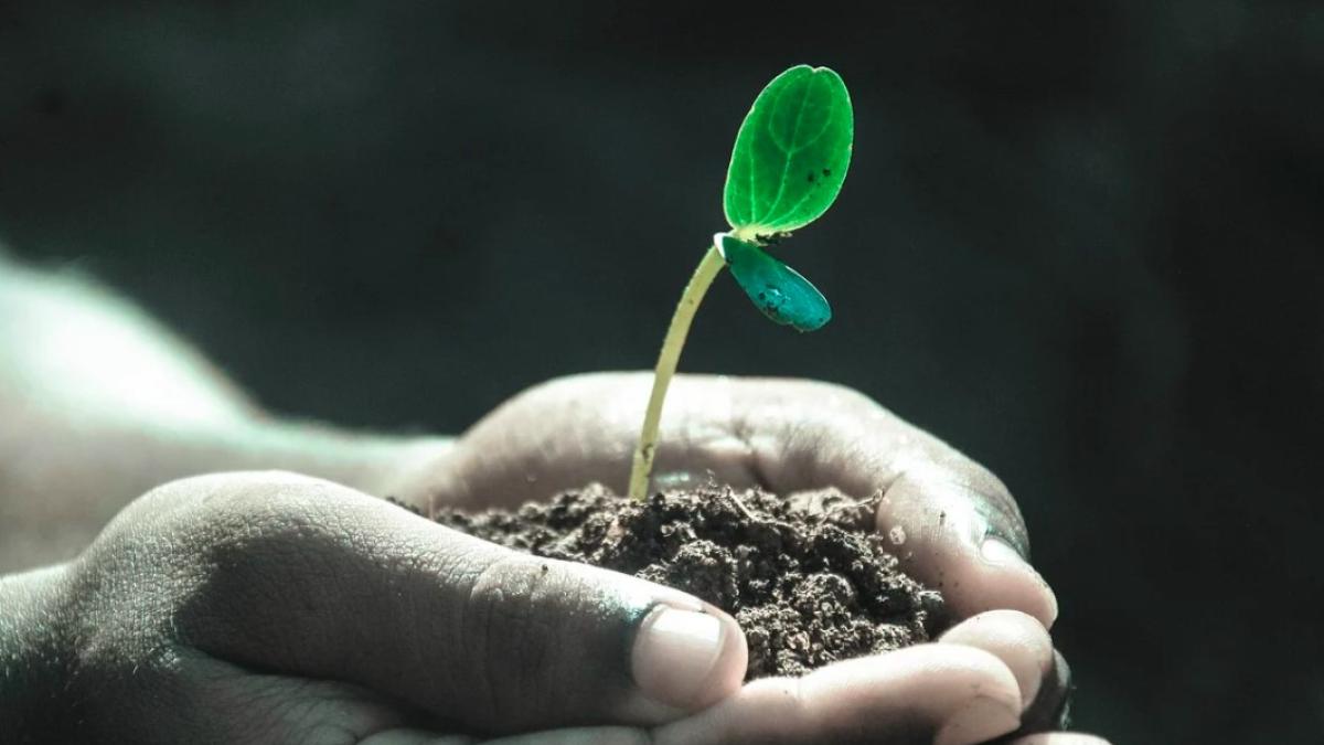 sol_viata_ilustrativ_pxb_32433900