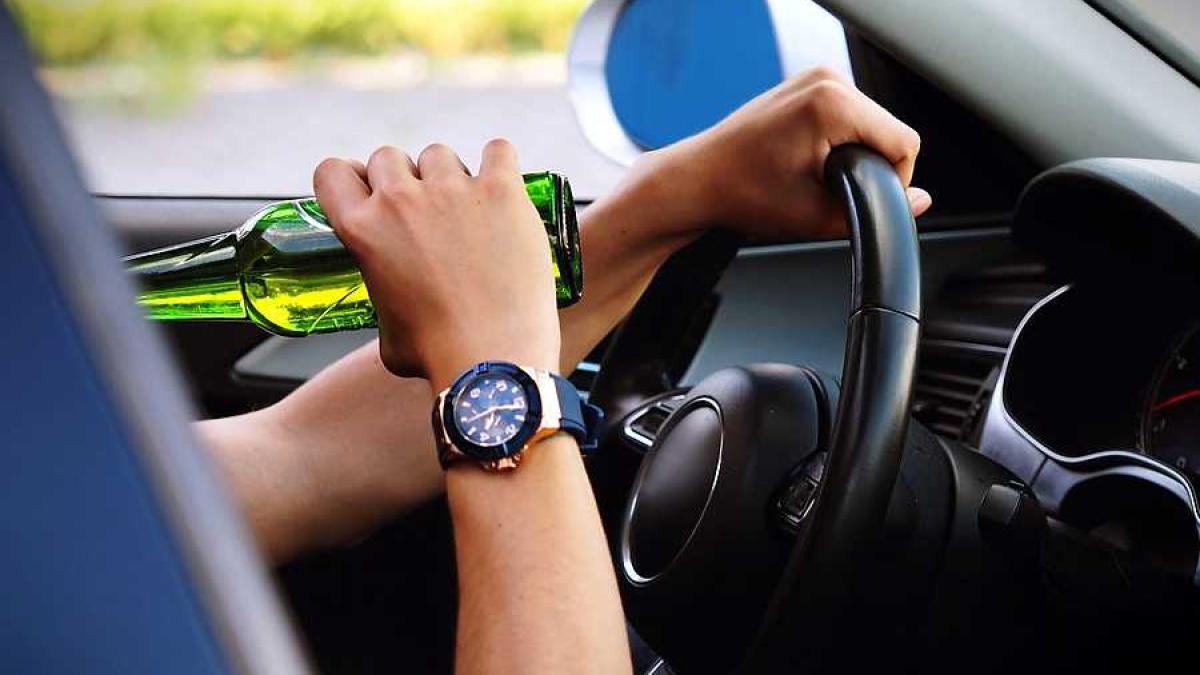 sofer_bere_beat_28593400