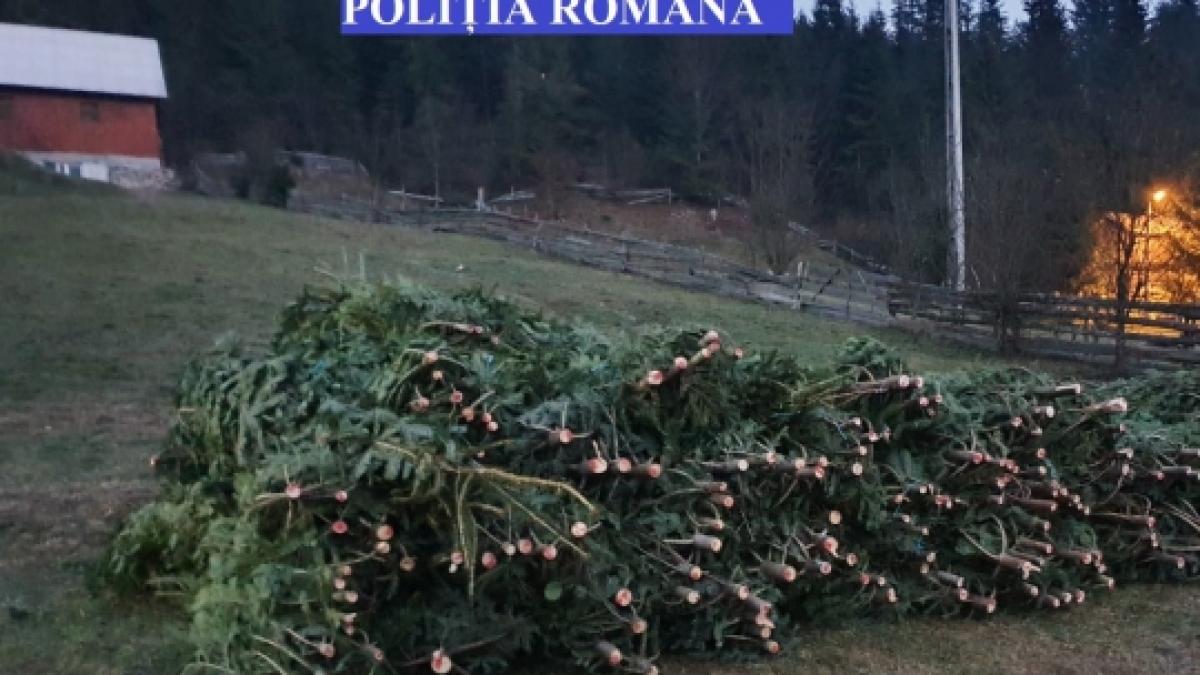 20-12-08-03-49-53big_9_04532600