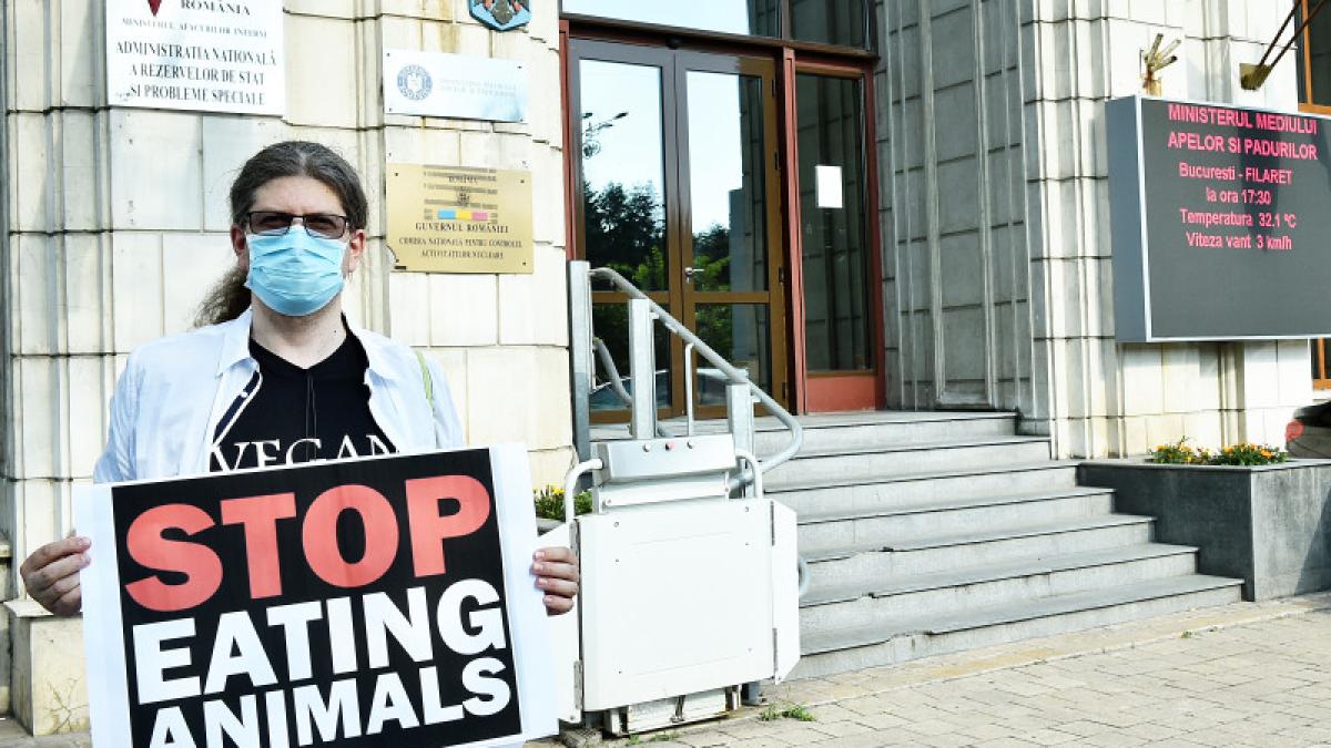 remus_cernea_activist_67959600