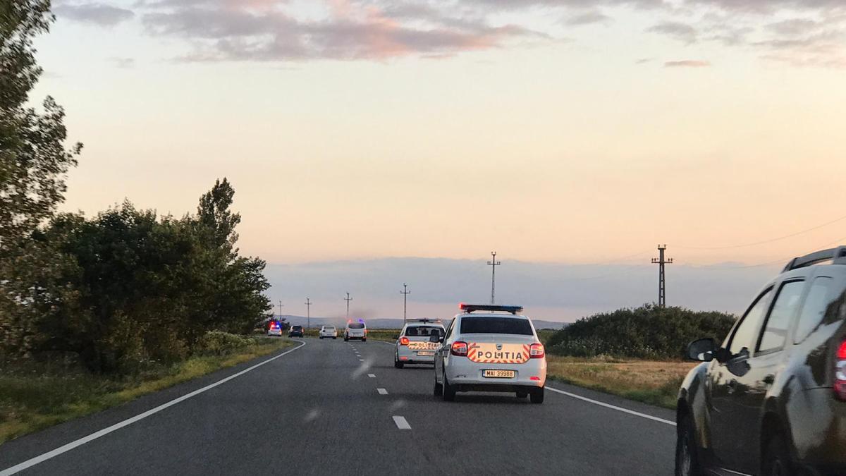 23ba3cf6-e83c-4c59-bf59-4902f81114df_07753100